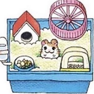 Meet your Posher, Stella